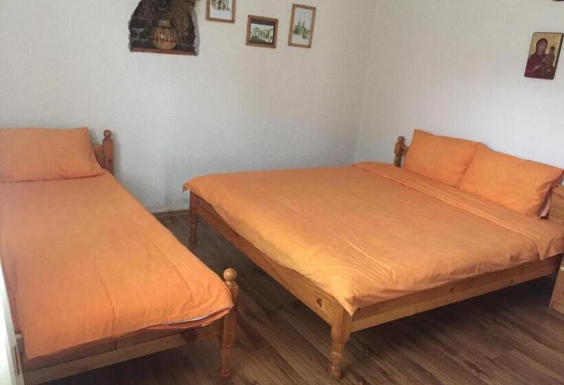 膳宿费 къща за гости спасителна