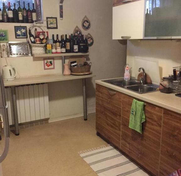 膳宿费 къща за гости спасителна