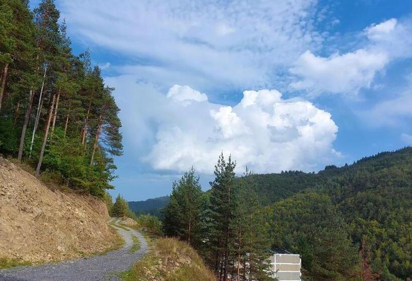 פנסיון къща за гости давидковска река