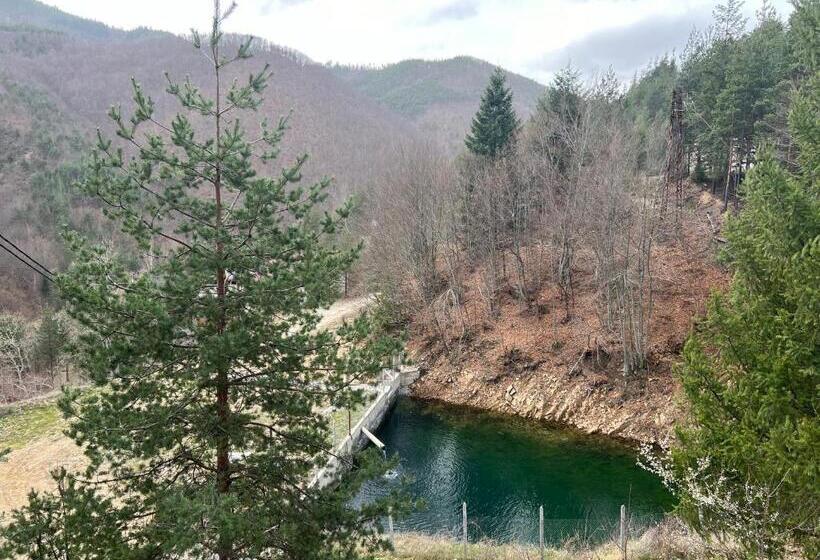 פנסיון къща за гости давидковска река