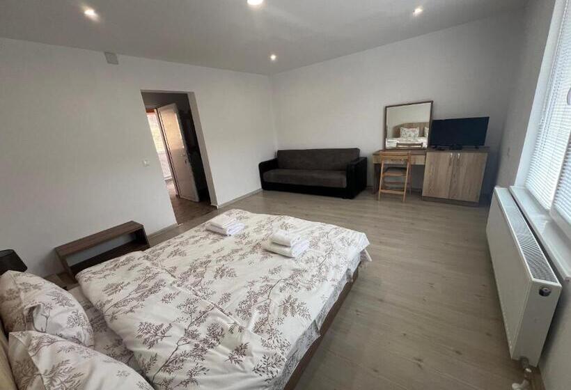 פנסיון къща за гости давидковска река