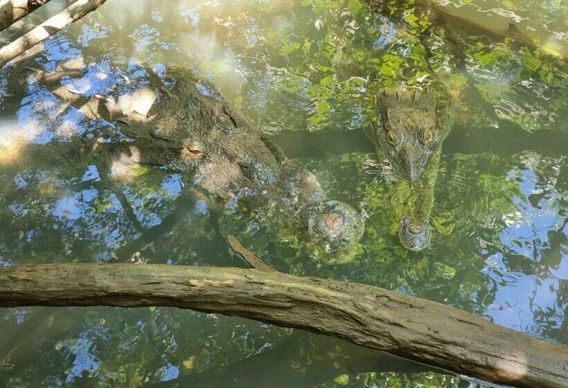 ペンション Hostal Y Restaurante Los Tecales