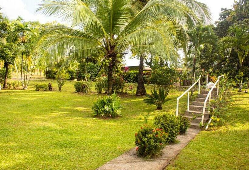 ペンション Hostal Y Restaurante Los Tecales