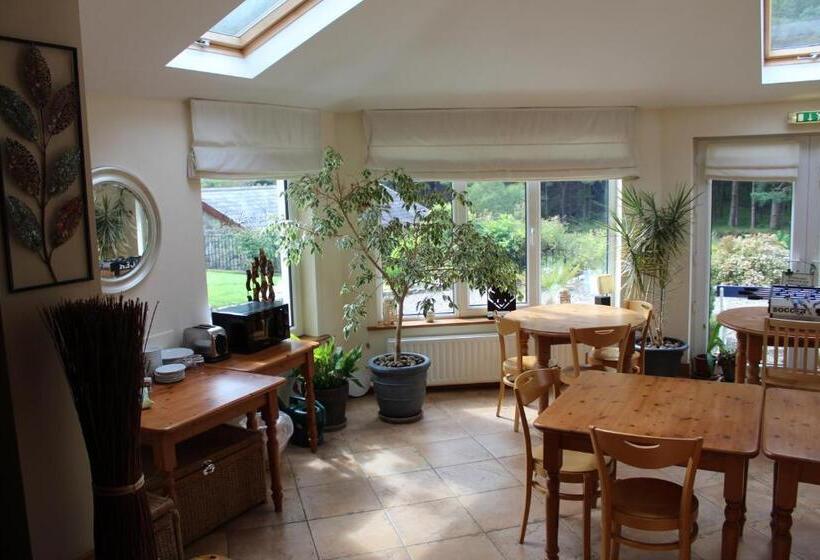 Pensjonat Riversdale House Room Only Accommodation, A98kd85