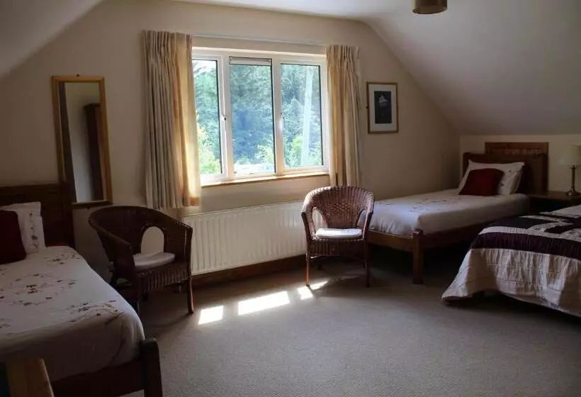 ペンション Riversdale House Room Only Accommodation, A98kd85