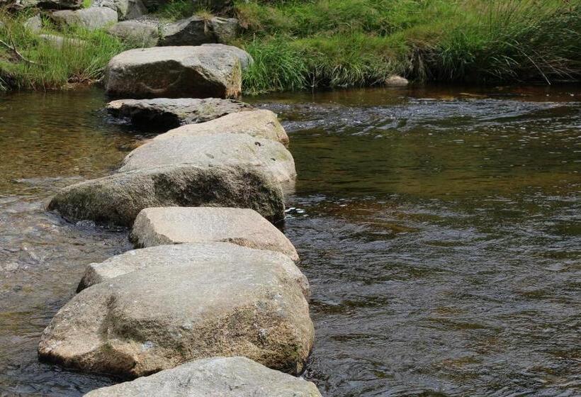 Pensjonat Riversdale House Room Only Accommodation, A98kd85