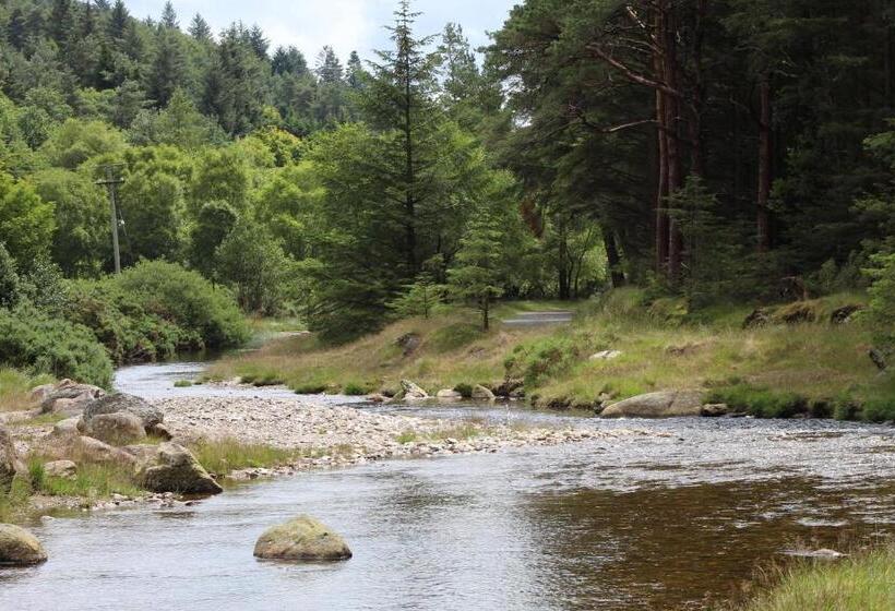 Pensjonat Riversdale House Room Only Accommodation, A98kd85