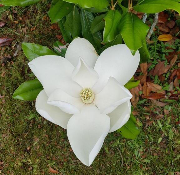 Пансион Villa Eva Des Landes