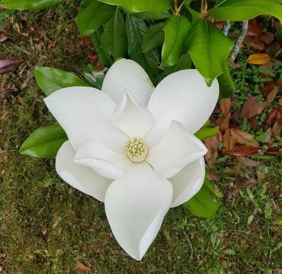 Majatalo Villa Eva Des Landes