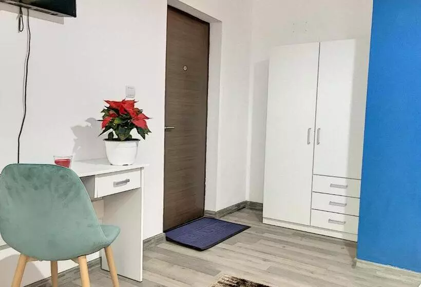 Pensiunea Bozi Timisoara