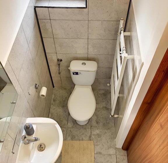 Pensiunea Bozi Timisoara