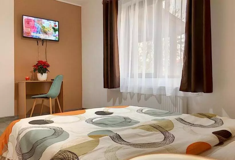 Pensiunea Bozi Timisoara