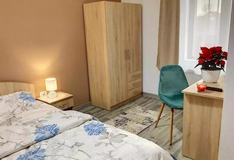 Pensiunea Bozi Timisoara