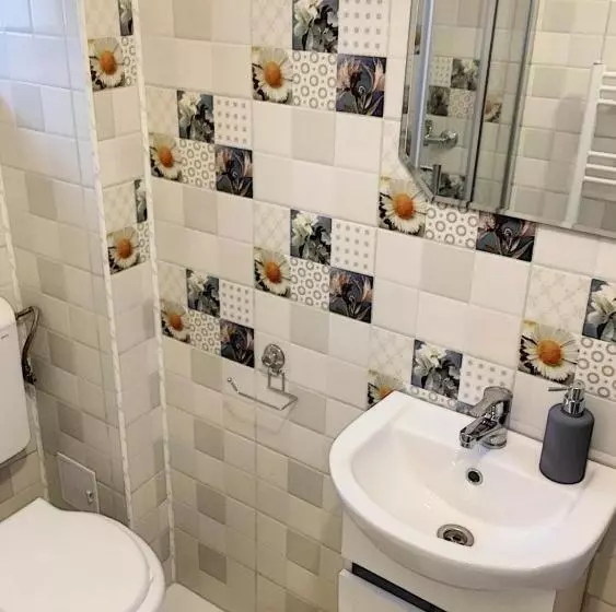 Pensiunea Bozi Timisoara