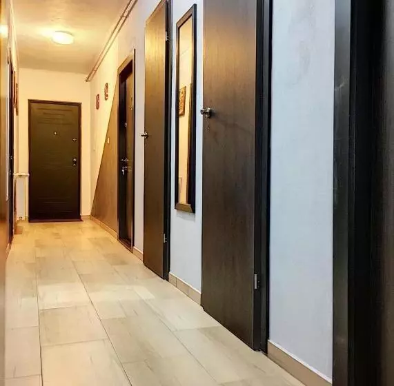 Pensiunea Bozi Timisoara