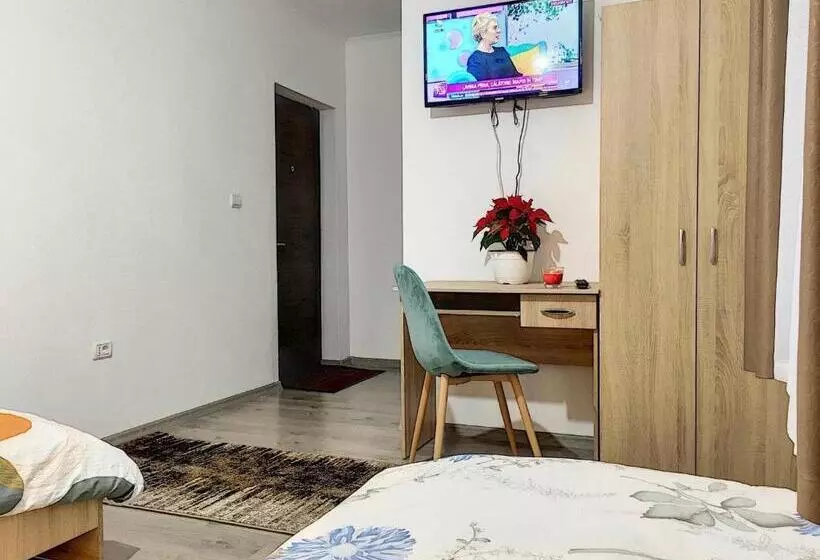 Pensiunea Bozi Timisoara