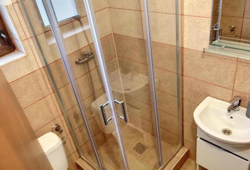 Pensiunea Bozi Timisoara