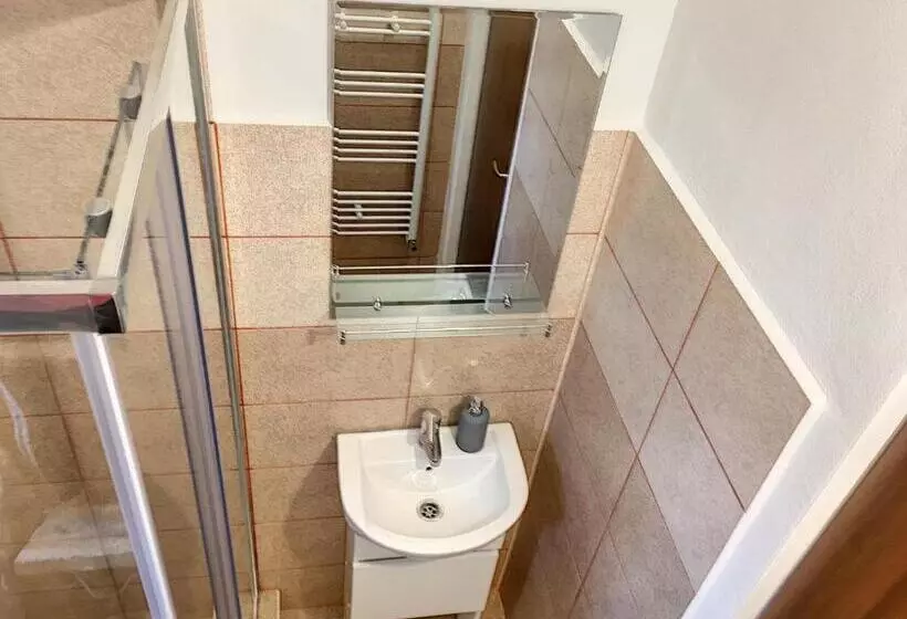 Pensiunea Bozi Timisoara