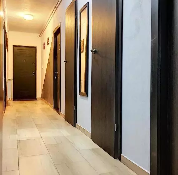 Pensiunea Bozi Timisoara