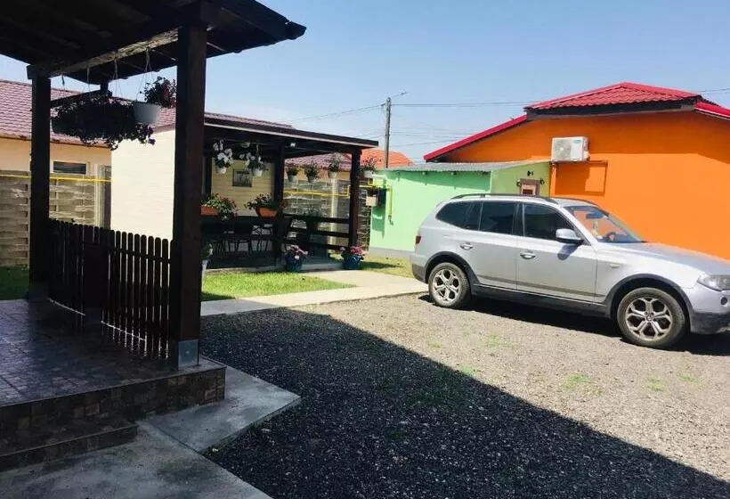 Pensiunea Bozi Timisoara