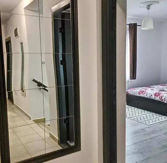 Pensiunea Bozi Timisoara