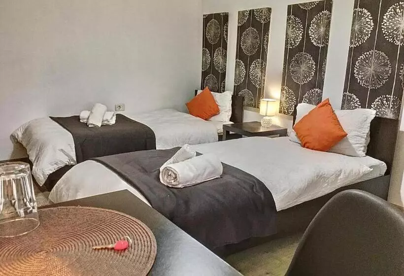 Pensiunea Bozi Timisoara