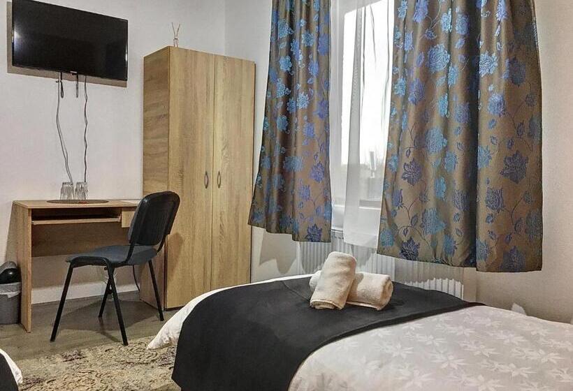 Pensiunea Bozi Timisoara