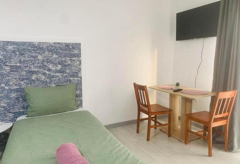 Pensiunea Bozi Timisoara