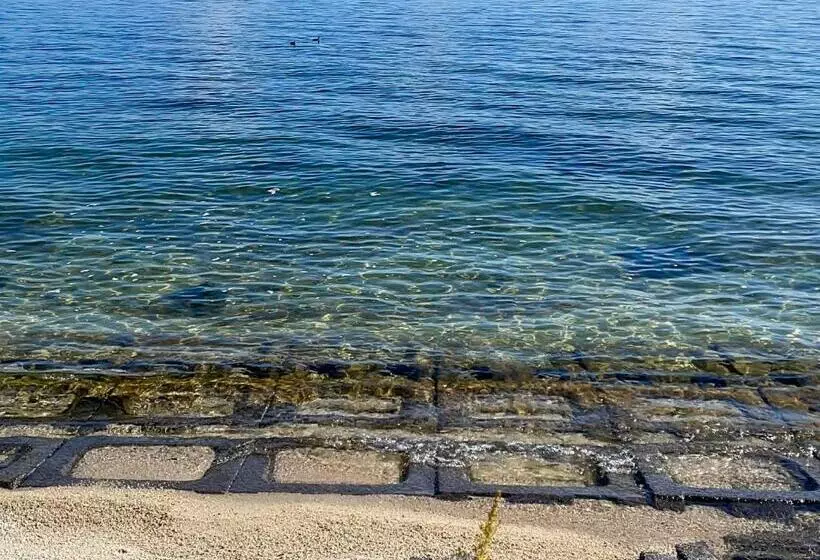 هاستل Biwa Lakeside Cottage B B Dylan