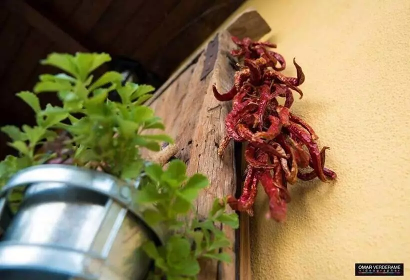 Aamiaismajoitus (B&B) Agriturismo Masseria Pinto