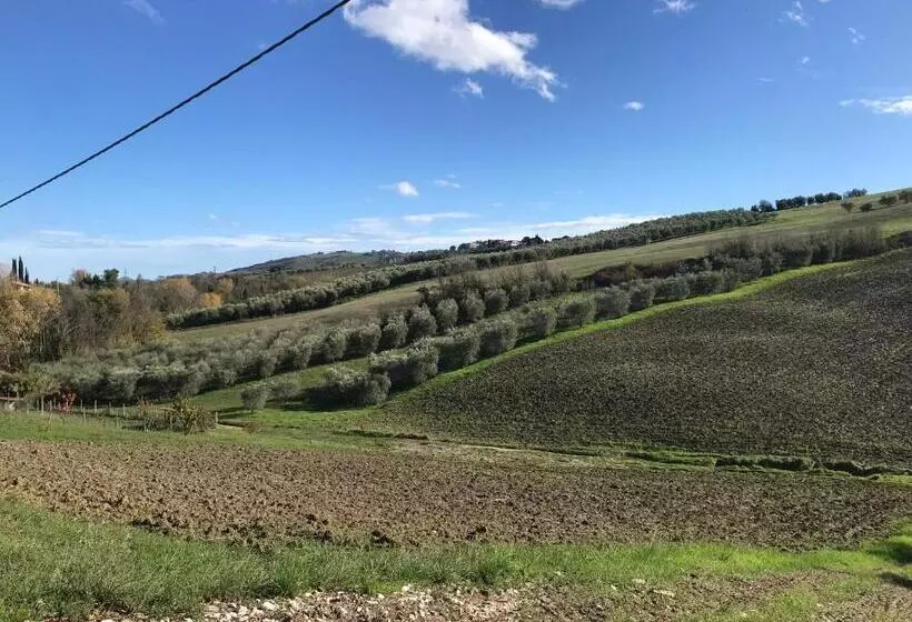 Aamiaismajoitus (B&B) Alvearedirita