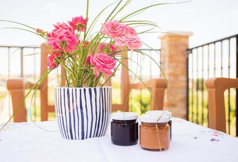 مبيت وإفطار Alvearedirita