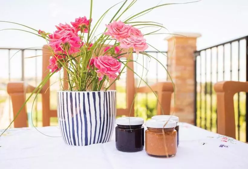 Aamiaismajoitus (B&B) Alvearedirita