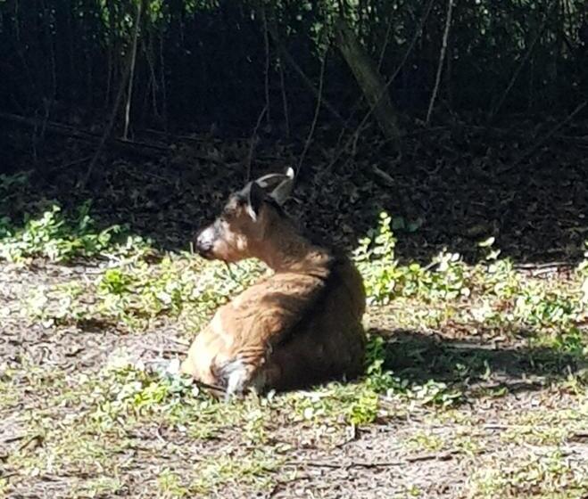 住宿加早餐  Chalet Du Moulin