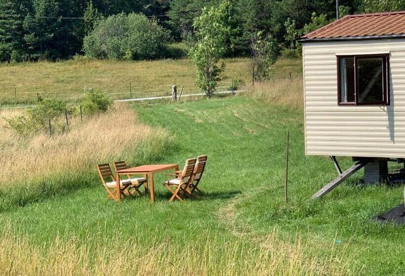 Bed and Breakfast Charming House On Large Property On Vato