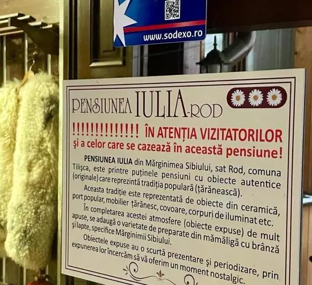 ベッドアンドブレックファースト Pensiunea Iulia