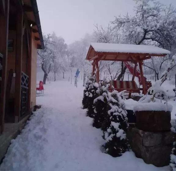 ベッドアンドブレックファースト Pensiunea Iulia