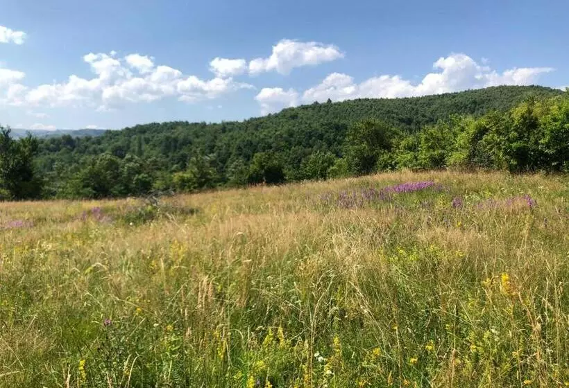 ベッドアンドブレックファースト Pensiunea Iulia