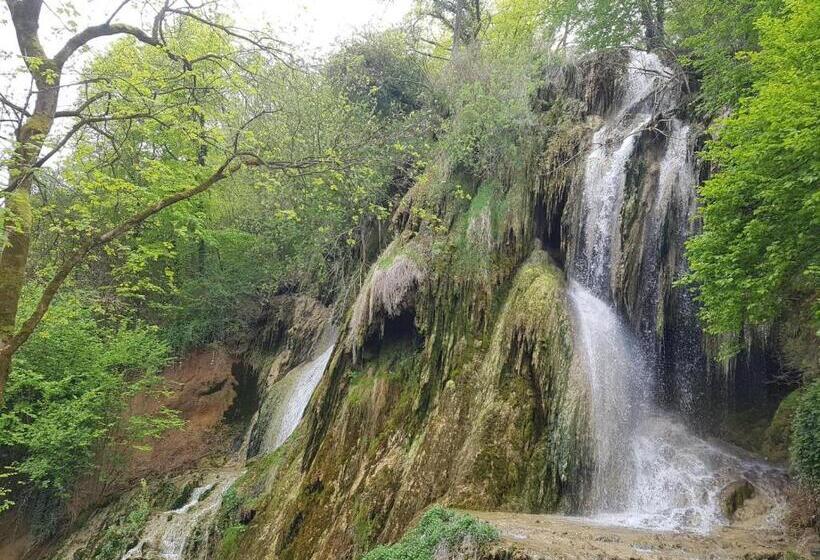 민박 Pensiunea Iulia