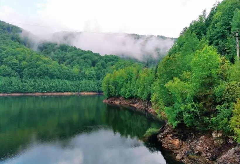 ベッドアンドブレックファースト Pensiunea Iulia