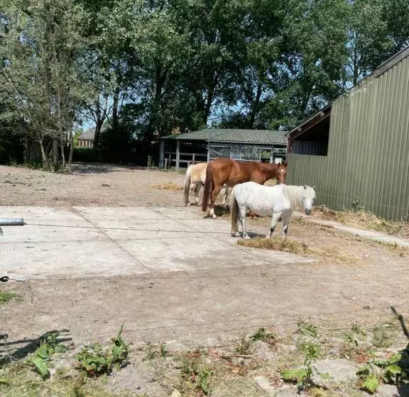 Aamiaismajoitus (B&B) The Horse Farm