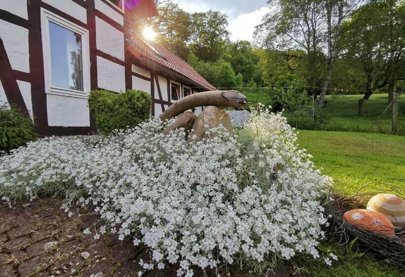 酒店 Ferienhof Ehlers