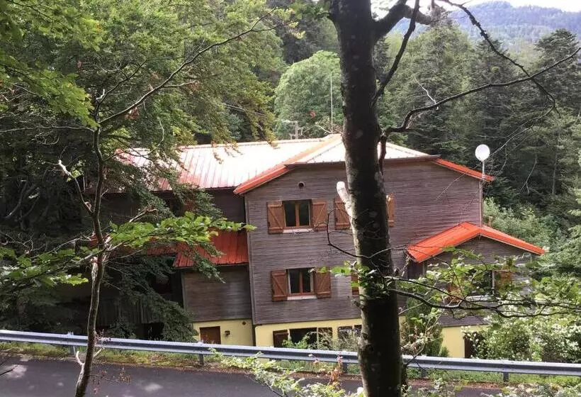 ホテル Hôtel Restaurant La Fourmi