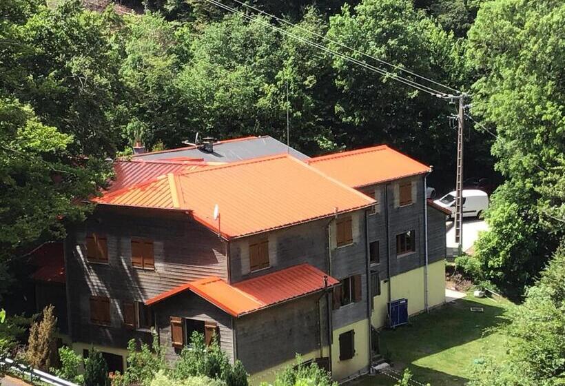 酒店 Hôtel Restaurant La Fourmi