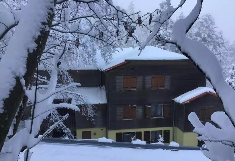 ホテル Hôtel Restaurant La Fourmi