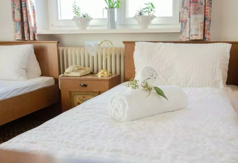 Hotelli Mitten In Der Welt   Gh Roither