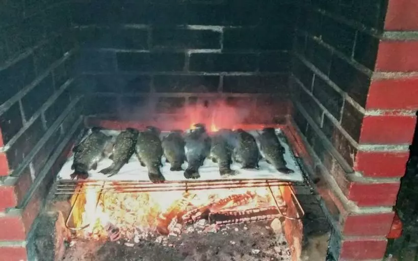 Majatalo Albinuta Guesthouse