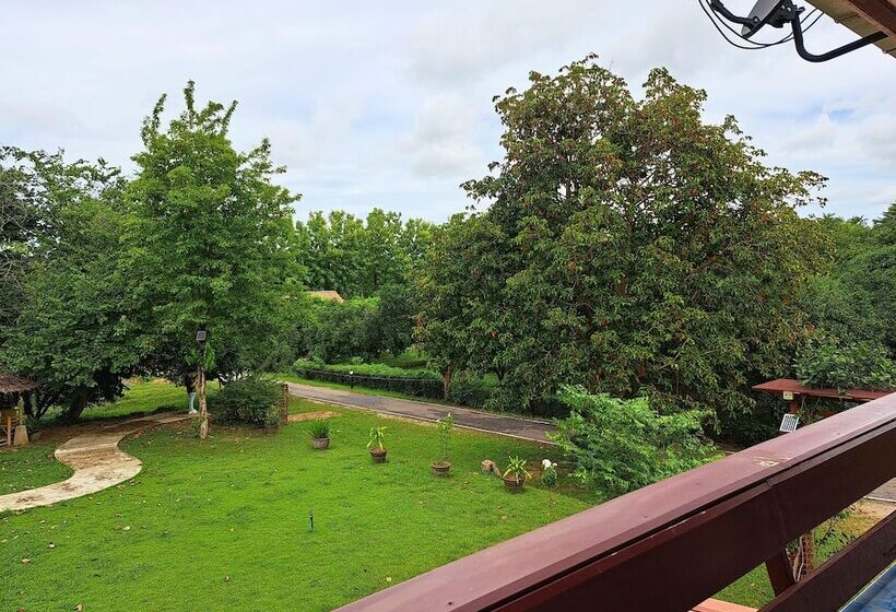 Пансион Aura Park Resort