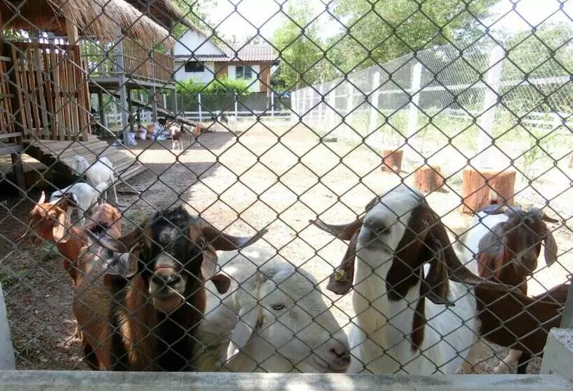 ペンション Aura Park Resort