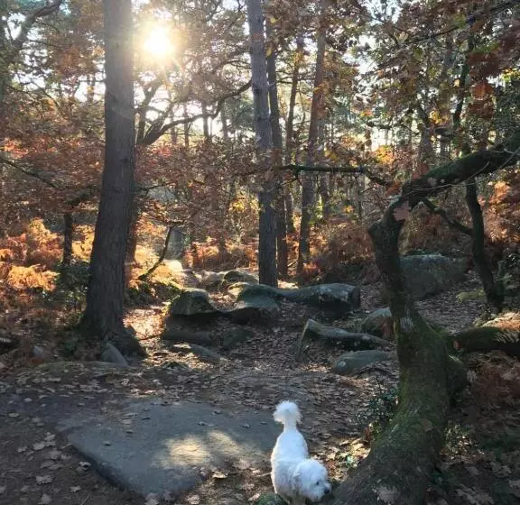 Majatalo Casa La Rosa & Spa